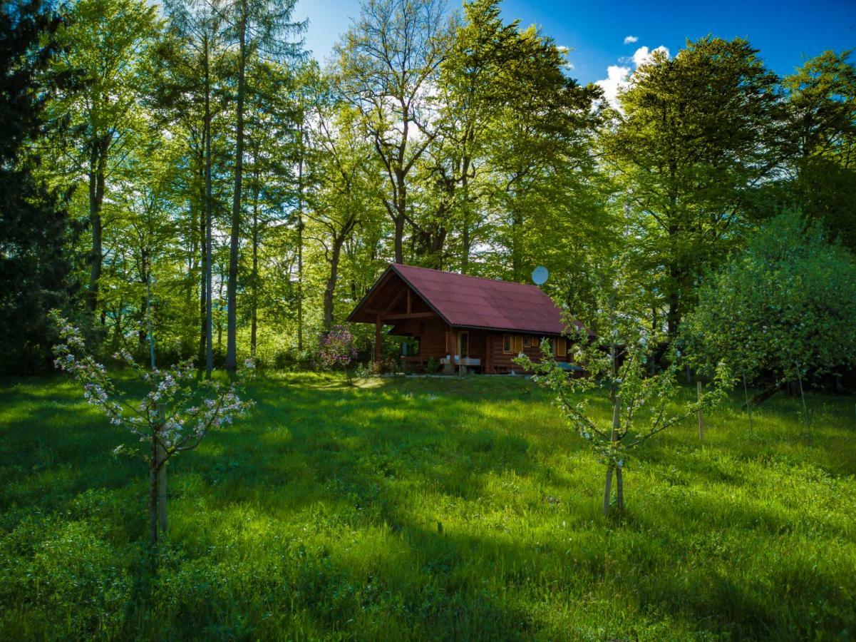 Villa Silent Orchard Naklo Exterior foto